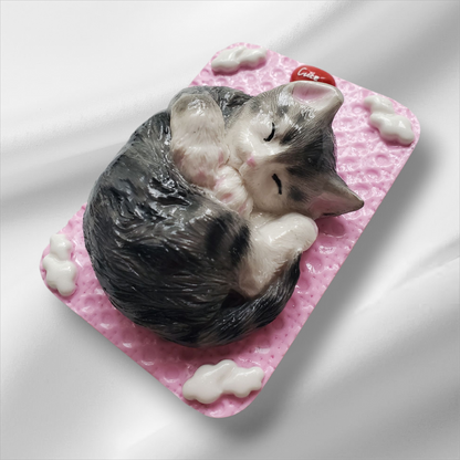Bijou Coque Nout le dormeur