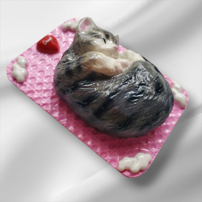 Bijou Coque Nout le dormeur